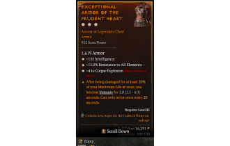 Legendary Chest Armor[Necromancer | *4 CorpseExplosion | *15 ResistAll | *135 INT]