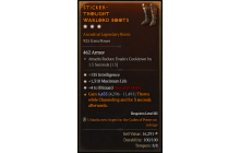 Legendary Boots[Sorcerer | *4 Blizzard | *135 INT | *1310 Life]