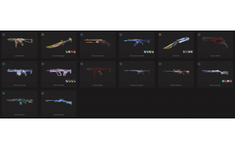 UNIQUE - Unranked - 3x Knife Skins [19 Agents, LVL 105, 2x Sentinels Of Light Skins and MORE!]