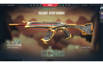 UNIQUE - Unranked - Valiant Hero Vandal [Most Affordable Rates and MORE!]