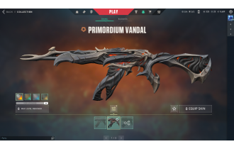 UNIQUE - Unranked - Primordium Vandal [Most Affordable Rates and MORE!]