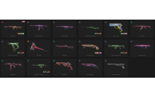 UNIQUE - Unranked - 1x Knife Skin [15 Agents, LVL 73, Oni Phantom and MORE!]