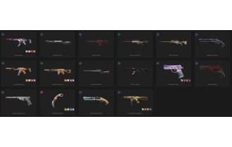 UNIQUE - Gold - 6x Knife Skins [14 Agents, LVL 149, 2x Champions 2022 Skins and MORE!]