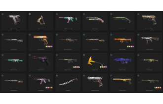 UNIQUE - Unranked - 5x Knife Skins [14 Agents, LVL 118, 5x Prime//2.0 Skins and MORE!]