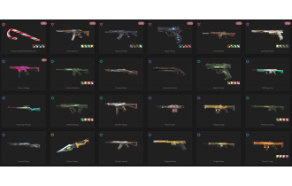 UNIQUE - Silver - 2x Knife Skins [12 Agents, LVL 48, Winterwunderland Candy Cane and MORE!]