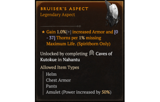 Bruiser's Aspect [Max Roll]