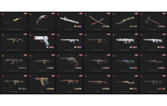 UNIQUE - Unranked - 8x Knife Skins [18 Agents, LVL 232, 2x Champions 2021 Skins  and MORE!]