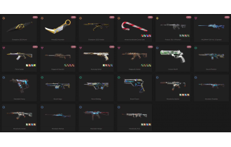 UNIQUE - Unranked - 3x Knife Skins [18 Agents, LVL 60, 2x Champions 2023 Skins and MORE!]