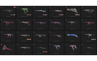 UNIQUE - Silver 1 - 3x Knife Skins [19 Agents, LVL 100, 5x .sys Skins and MORE!]