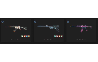 UNIQUE - Silver 1 - 3x Knife Skins [19 Agents, LVL 100, 5x .sys Skins and MORE!]