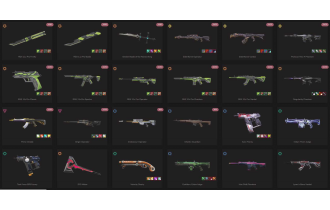 UNIQUE - Unranked - 6x Knife Skins [16 Agents, LVL 102, 7x Rgx 11z Pro Skins  and MORE!]