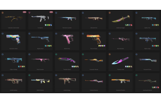 UNIQUE - Silver - 3x Knife Skins [18 Agents, LVL 142, Champions 2023 Vandal and MORE!]