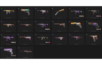 UNIQUE - Silver - 3x Knife Skins [18 Agents, LVL 142, Champions 2023 Vandal and MORE!]