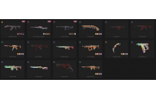 UNIQUE - Bronze 2 - 1x Knife Skin [7 Agents, Elderflame Vandal and MORE!]