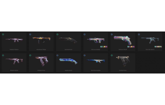 UNIQUE - Gold - 2x Knife Skins [11 Agents, LVL 47, Vct X Prx Classic and MORE!]