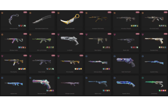 UNIQUE - Silver - 4x Knife Skins [12 Agents, LVL 135, Champions 2023 Vandal and MORE!]