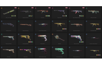 UNIQUE - Gold - 2x Knife Skins [19 Agents, LVL 173, Rgx 11z Pro Firefly and MORE!]