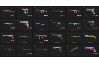 UNIQUE - Unranked - 10x Knife Skins [19 Agents, LVL 240, 5x Forsaken Skins and MORE!]