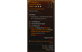 Legendary Boots[Druid | *4 Hurricane | *34.5 MS | *182 WP]