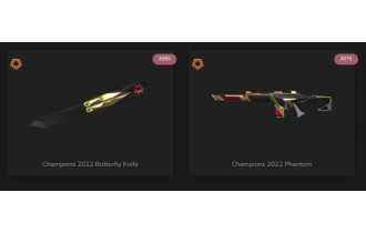 UNIQUE - Unranked - 1x Knife Skin [2 Agents, LVL 17, 2x Champions 2022 Skins  and MORE!]