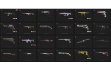 UNIQUE - Unranked - 2x  Knife Skins [19 Agents, LVL 209, Origin Vandal and MORE!]