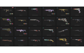 UNIQUE - Unranked - 2x  Knife Skins [19 Agents, LVL 209, Origin Vandal and MORE!]