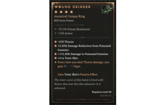 Wound Drinker [Max Unique | ⭐️ 4 Greater | Ring | Spiritborn]