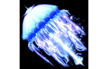 Jellyfish Parasol [Blade Ball]