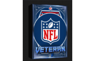 NFL Veteran Pack [NFL Universe Football]