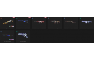 UNIQUE - Unranked - 1x Knife Skins [22 Agents, LVL 11, Prism Ghost and MORE!]