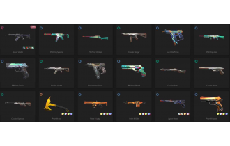 UNIQUE - Unranked - 1x Knife Skin [15 Agents, LVL 84, Reaver Vandal and MORE!]