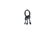 Jailer's Keys [Adopt Me - Pet Wear]