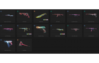 UNIQUE - Unranked - 2x Knife Skins [15 Agents, LVL 98, Neptune Vandal and MORE!]