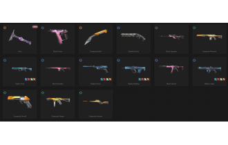 UNIQUE - Unranked - 2x Knife Skins [4 Agents, LVL 38, Hack and MORE!]