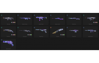 UNIQUE - Unranked - 1x Knife Skin [10 Agents, LVL 50, 5x Tilde Skins and MORE!]