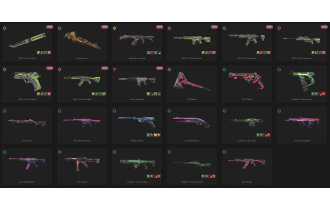 UNIQUE - Unranked - 3x Knife Skins [17 Agents, LVL 98, 6x Rgx 11z Pro Skins and MORE!]