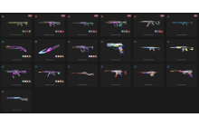 UNIQUE - Unranked - 1x Knife Skin [10 Agents, LVL 60, Rgx 11z Pro Guardian and MORE!]