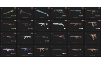 UNIQUE - Unranked - 5x Knife Skins [15 Agents, LVL 85, Rgx 11z Pro Firefly and MORE!]