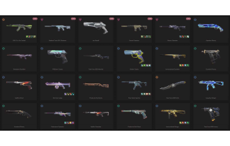 UNIQUE - Unranked - 3x Knife Skins [18 Agents, LVL 165, Rgx 11z Pro Vandal and MORE!]