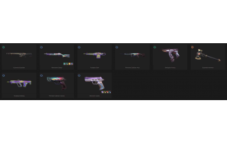 UNIQUE - Unranked - 3x Knife Skins [18 Agents, LVL 165, Rgx 11z Pro Vandal and MORE!]