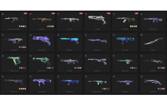 UNIQUE - Unranked - 2x Knife Skins [16 Agents, LVL 82, Sentinels Of Light Vandal and MORE!]