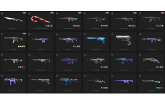 UNIQUE - Unranked - 3x Knife Skins [15 Agents, LVL 53, Sovereign Sword and MORE!]