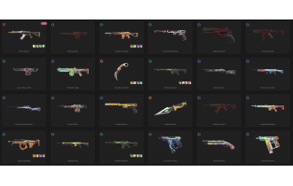 UNIQUE - Unranked - 2x Knife SKins [15 Agents, LVL 56, Prime Vandal and MORE!]