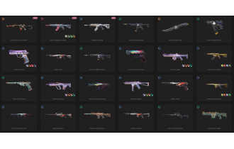 UNIQUE - Unranked - 1x Knife Skin [10 Agents, LVL 44, Champions 2022 Phantom  and MORE!]