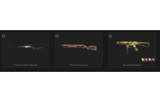 UNIQUE - Unranked - 1x Knife Skin [10 Agents, LVL 44, Champions 2022 Phantom  and MORE!]