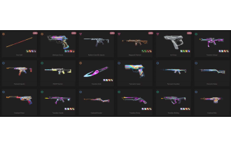 UNIQUE - Unranked - 2x Knife Skins [5 Agents, LVL 29, Ruyi Staff and MORE!]