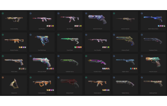 UNIQUE - Unranked - 2x Knife Skins [18 Agents, LVL 344, Catrina and MORE!]