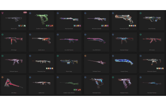 UNIQUE - Unranked - 3x Knife Skins [19 Agents, LVL 100, Reaver Odin and MORE!]