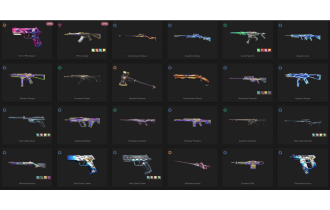 UNIQUE - Unranked - 2x Knife Skins [11 Agents, LVL 47, Vct X Prx Classic and MORE!]