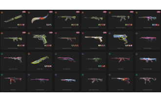 UNIQUE - Unranked - 3x Knife Skins [8 Agents, LVL 42, 6x Rgx 11z Pro Skins and MORE!]